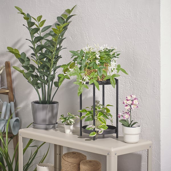 FEJKA Planta artificial, interior/exterior/colgante jazmín, 12 cm