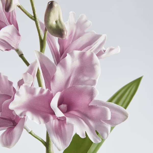 FEJKA Planta artificial, interior/exterior/dendrobium nobile rosado, 12 cm