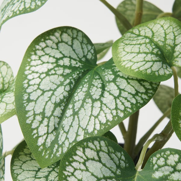 FEJKA Planta artificial, interior/exterior lengua de buey, 9 cm