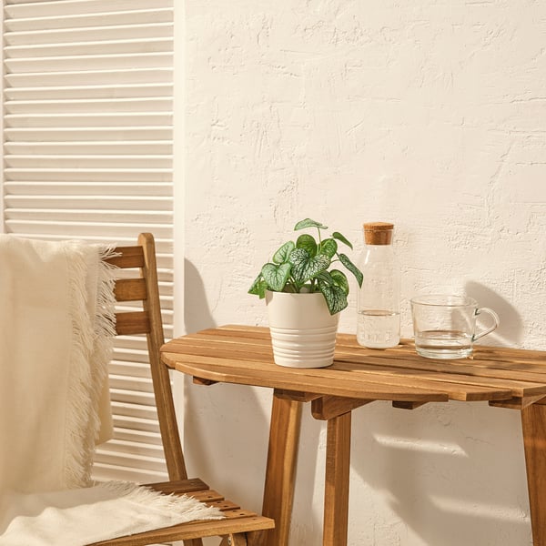 FEJKA Planta artificial, interior/exterior lengua de buey, 9 cm