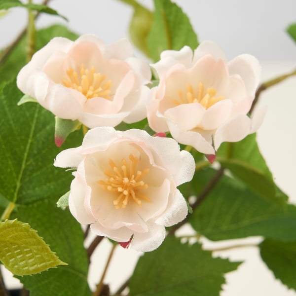 FEJKA Planta artificial, interior/exterior/rosa Rosado claro, 12 cm