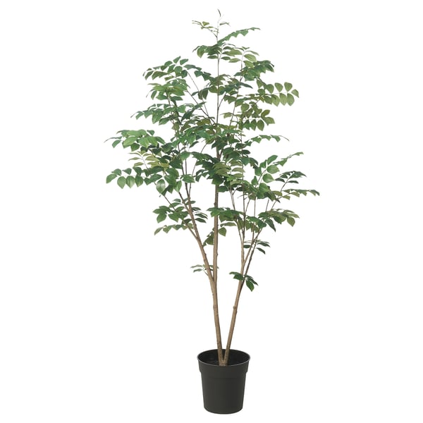 FEJKA Planta artificial, interior/exterior sándalo rojo, 19 cm