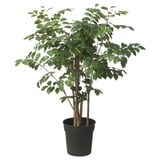 FEJKA Planta artificial, interior/exterior sándalo rojo, 19 cm