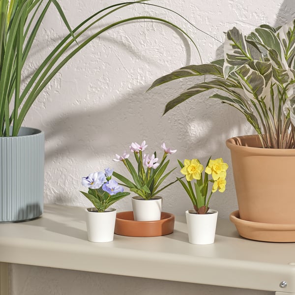 FEJKA Plantas artificiales, set de 3, interior/exterior flor, 6 cm