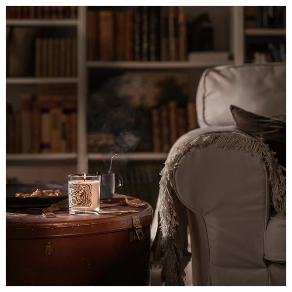 GLANSLIND Vela aromática en vaso, Vanilla ahumada/beige, 45 hr