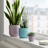 GRADVIS Macetero, interior/exterior morado, 6 cm