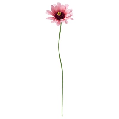 GULDSPETT Flor artificial, papel pintado/equinácea rosado, 50 cm