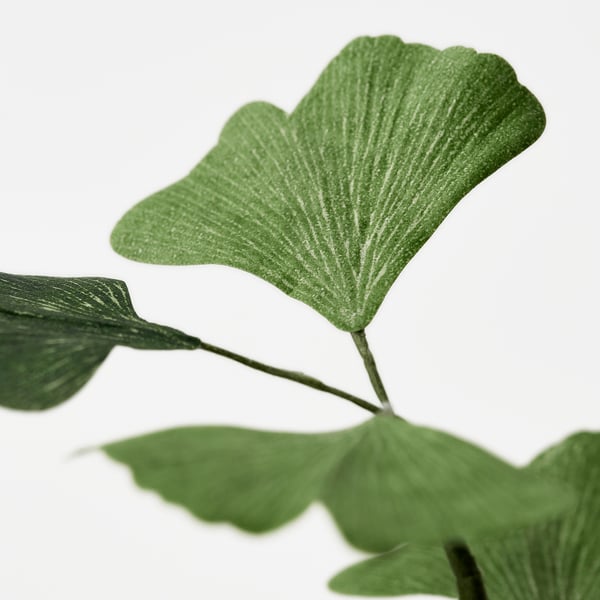 GULDSPETT Flor artificial, papel pintado/Ginkgo verde, 60 cm