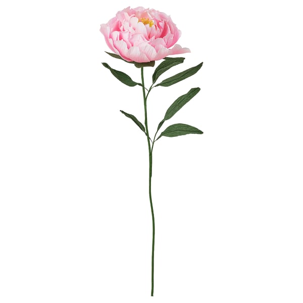 GULDSPETT Flor artificial, papel pintado/Peonía rosado, 50 cm