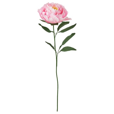 GULDSPETT Flor artificial, papel pintado/Peonía rosado, 50 cm