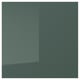 KALLARP Puerta, alto brillo gris oscuro-verde, 60x60 cm