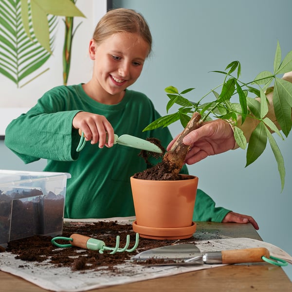 LÄRKAR Jardinería, set de 2, abedul/pequeño menta