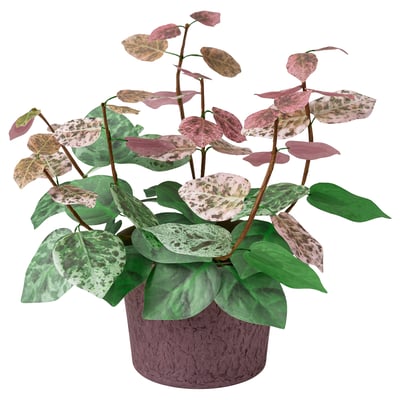 SMÅTÄRNA Planta artificial