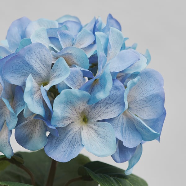 SMYCKA Flor artificial, interior/exterior/Hortensia azul, 55 cm