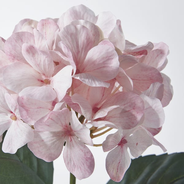 SMYCKA Flor artificial, interior/exterior/hortensia Rosado claro, 45 cm