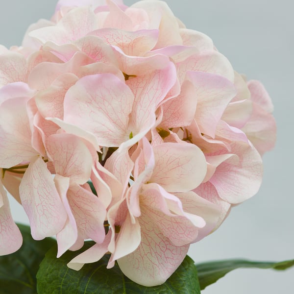SMYCKA Flor artificial, interior/exterior/Hortensia rosado, 55 cm