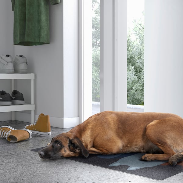 TURISTVÄG Limpiapiés, motivo perro, 60x90 cm
