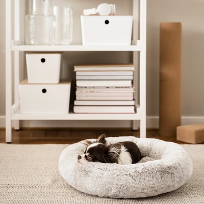 UTSÅDD Cama de mascota, gris claro, S