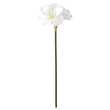 VINTERFINT Flor artificial, interior/exterior/Amarilis blanco, 60 cm