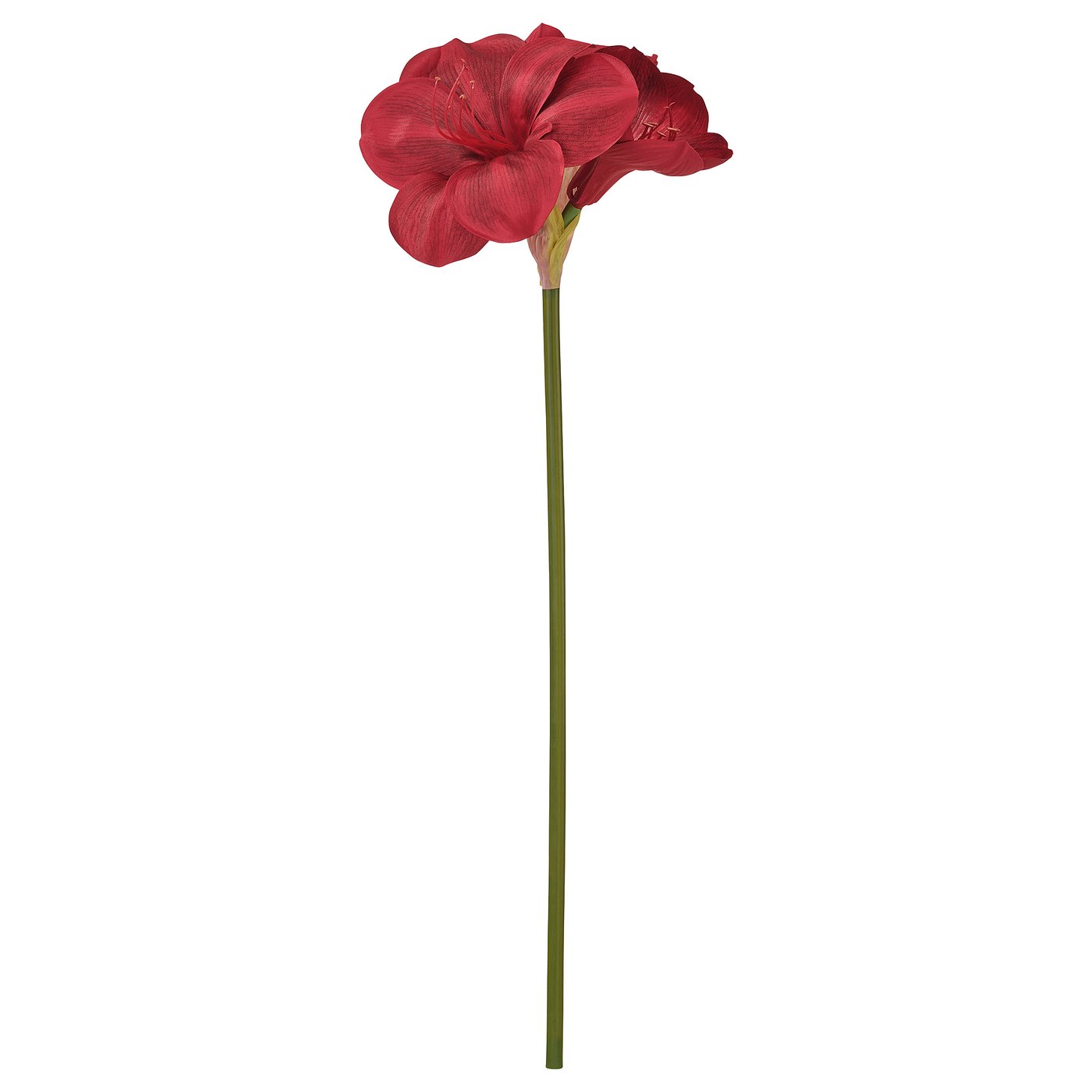 VINTERFINT Flor artificial, interior/exterior Amarilis/rojo, 60 cm