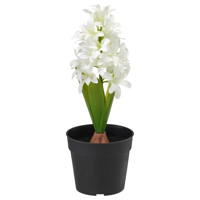 VINTERFINT Planta artificial, interior/exterior jacinto/blanco, 9 cm