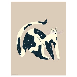 BILD Lámina, gato de noche, 30x40 cm