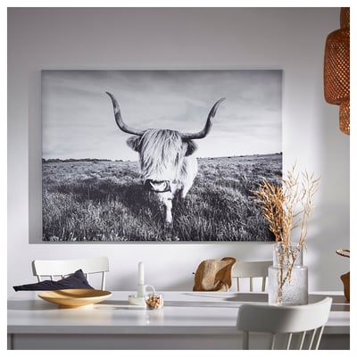 BJÖRKSTA Cuadro, Vaca curiosa, 140x100 cm
