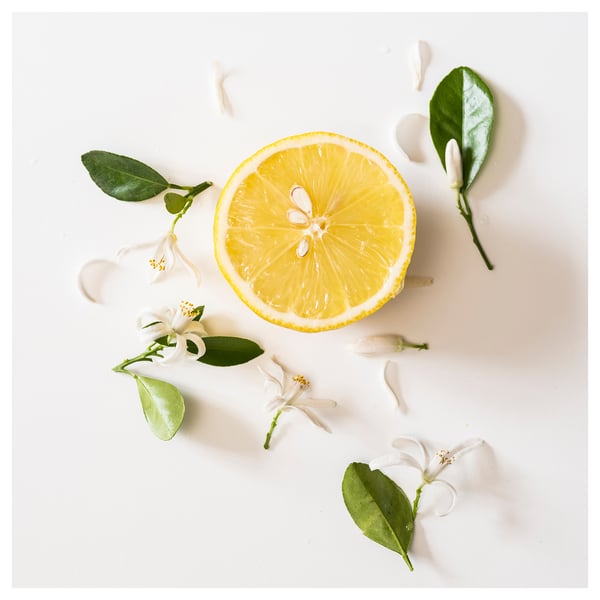 DVÄRGHÖK Vela aromática en vaso de vidrio, flor cítrica naranja rojizo/café dorado, 50 hr