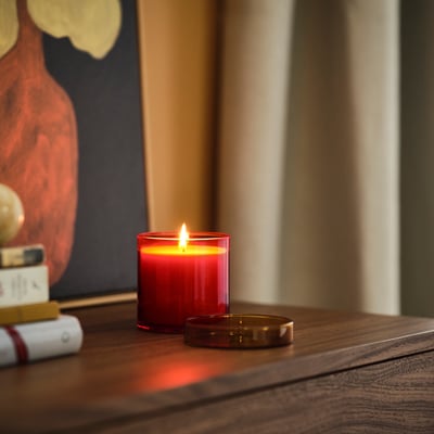 DVÄRGHÖK Vela aromática en vaso de vidrio, flor cítrica naranja rojizo/café dorado, 50 hr