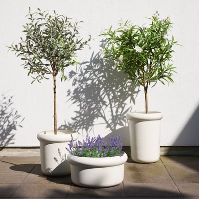 FEJKA Planta artificial, Interior / exterior/adelfa blanco, 19 cm