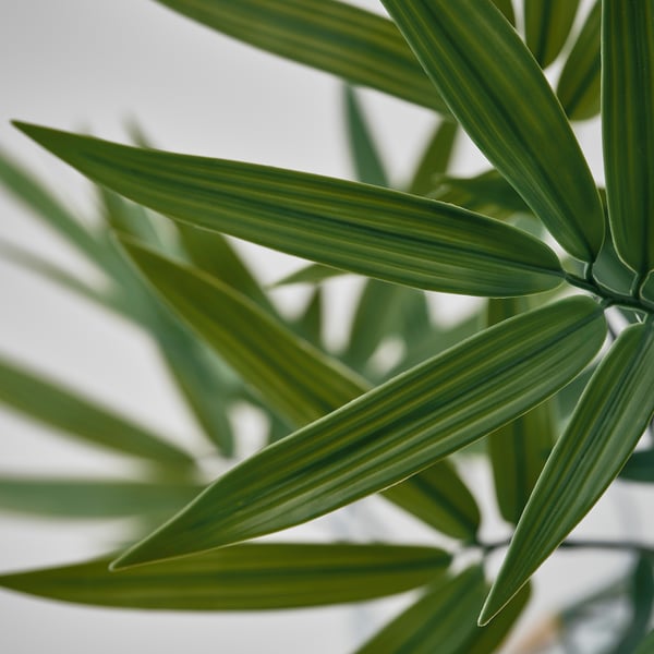 FEJKA Planta artificial, Interior / exterior/bambú, 21 cm