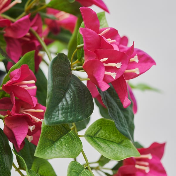 FEJKA Planta artificial, Interior / exterior/buganvilla rosado, 12 cm