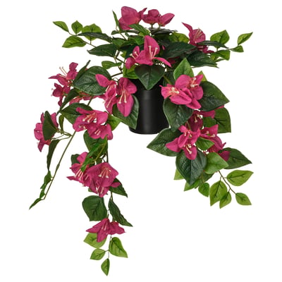FEJKA Planta artificial, Interior / exterior/buganvilla rosado, 12 cm
