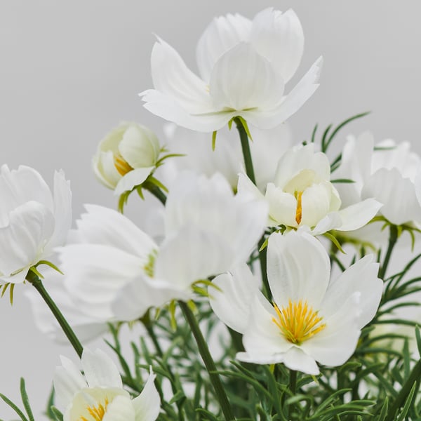 FEJKA Planta artificial, Interior / exterior/cosmos blanco, 9 cm