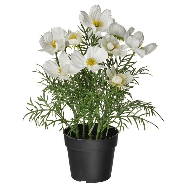 FEJKA Planta artificial, Interior / exterior/cosmos blanco, 9 cm