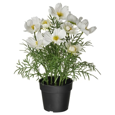 FEJKA Planta artificial, Interior / exterior/cosmos blanco, 9 cm