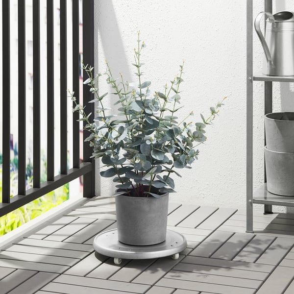 FEJKA Planta artificial, Interior / exterior Eucalipto, 15 cm
