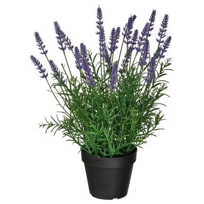 FEJKA Planta artificial, Interior / exterior/Lavanda lila, 12 cm