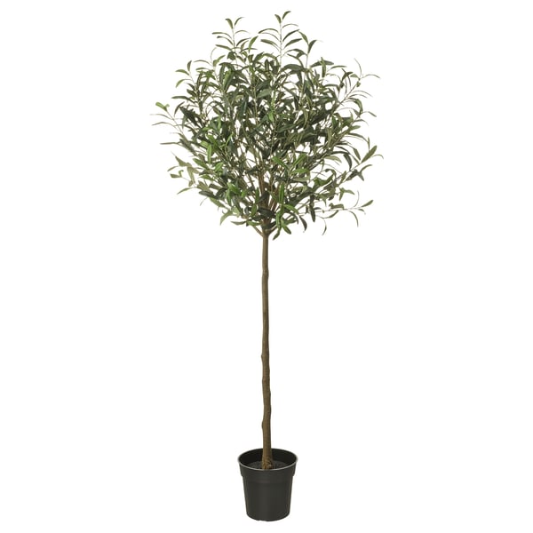 FEJKA Planta artificial, Interior / exterior/olivo verde, 19 cm