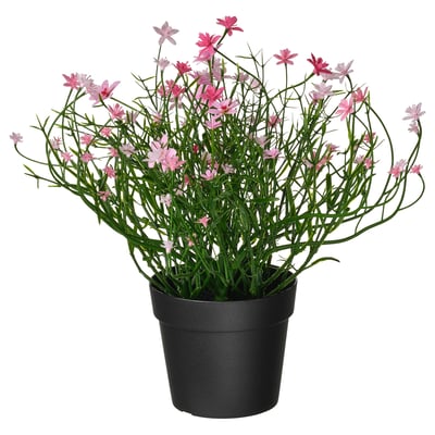 FEJKA Planta artificial, Interior / exterior/paniculata rosado, 9 cm