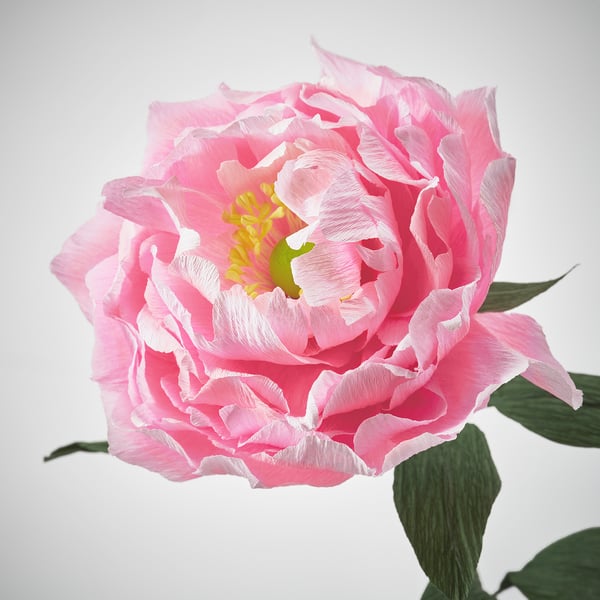 GULDSPETT Flor artificial, Papel/Peonía rosado, 50 cm