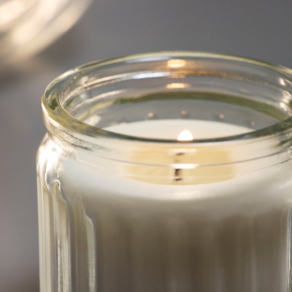 HÖKGÖK Vela aromática en vaso de vidrio, Vainilla beige, 12 hr