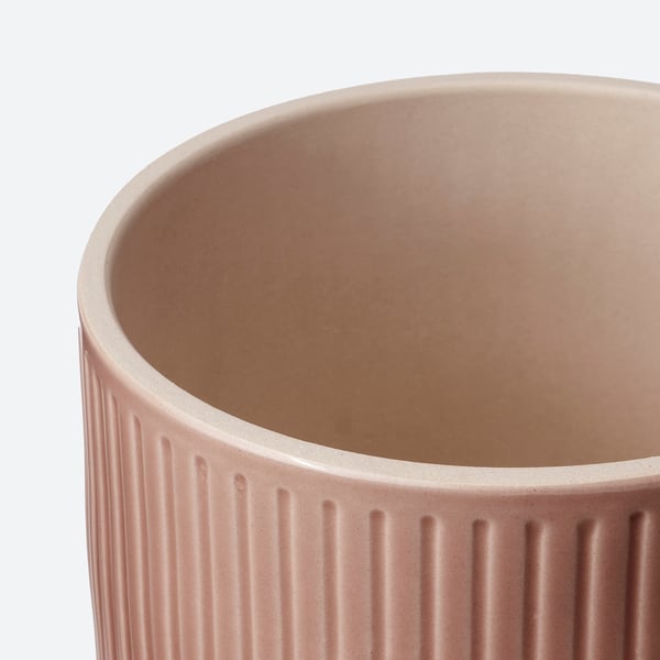 HONUNGSPALM Matera, Interior / exterior/rosado, 15 cm