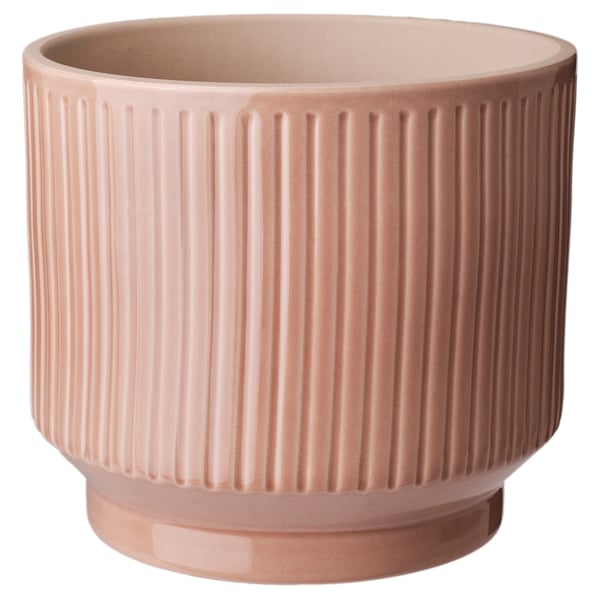 HONUNGSPALM Matera, Interior / exterior/rosado, 15 cm
