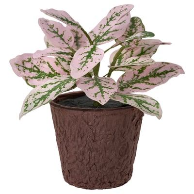 SMÅTÄRNA Planta artificial, Papel/fitonia, 6 cm