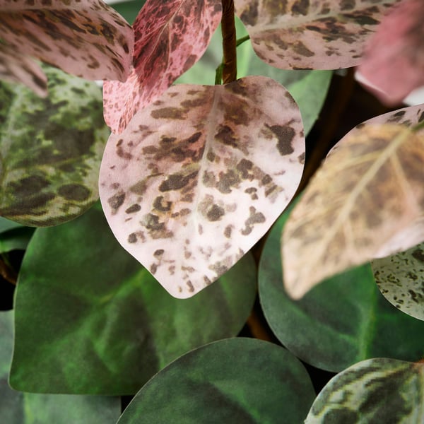 SMÅTÄRNA Planta artificial, Papel/Jazmín en flor, 10 cm