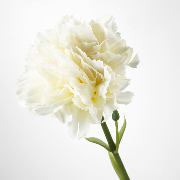 SMYCKA Flor artificial, Clavel/blanco, 30 cm