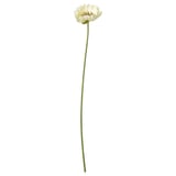 SMYCKA Flor artificial, Interior / exterior Amapola/blanco, 51 cm