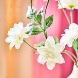 SMYCKA Flor artificial, Interior / exterior Dalia/blanco, 66 cm