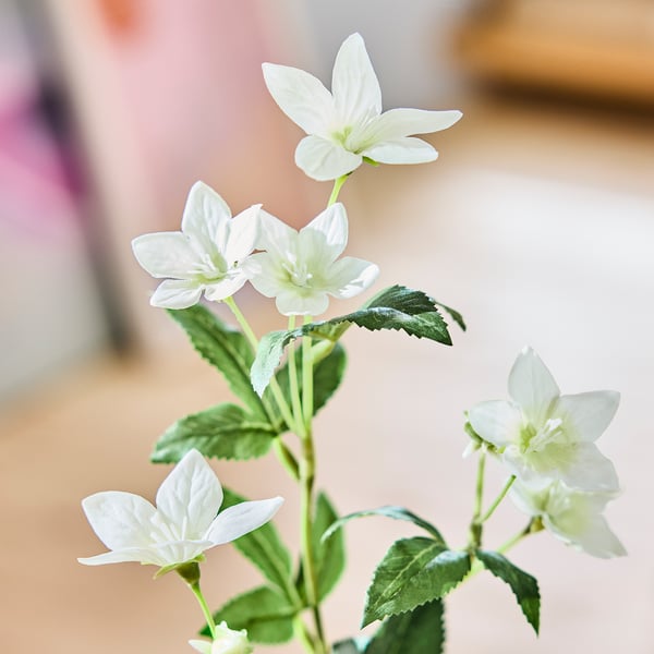 SMYCKA Flor artificial, Interior / exterior Lisianthus/blanco, 60 cm